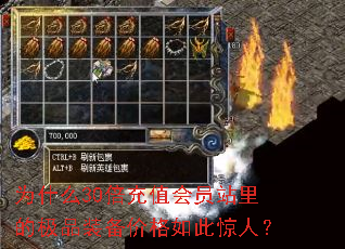 Ϊʲô30����ֵ��Ավ��ļ�Ʒװ���۸���˾��ˣ�