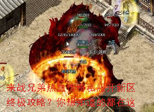 ��ս�ֵ���Ѫ����˽���������ռ����ԣ�����֪���Ķ�����