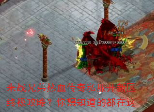 ��ս�ֵ���Ѫ����˽���������ռ����ԣ�����֪���Ķ�����