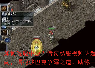 �����¹��ԭ������˽����Ƶվ��ȫ����ָ�ϣ�����ɳ�Ϳ�����֮��������һͳ����