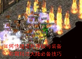 ��ο��������ȼ���װ�����ư��귨��½�ر�����