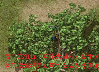 传奇充值折扣攻略大揭秘:新手如何省钱?老玩家怎样更划算?白嫖神器真的存在吗? 传奇充值折扣攻略大揭秘:新手如何省钱?老玩家怎样更划算?白嫖神器真的存在吗?