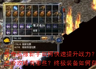 ����˽��������ο�������ս�������ֽ��׹�������Щ���ռ�װ����λ�ȡ��