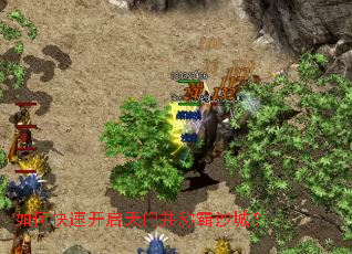 ��ο��ٿ������Ų��ư�ɳ�ǣ�