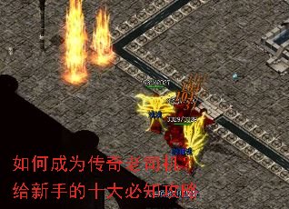 ��γ�Ϊ������˾���������ֵ�ʮ���֪����