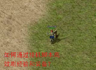 如何通过挂机脚本高效刷经验和装备? 如何通过挂机脚本高效刷经验和装备?