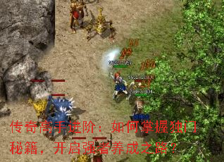 ������ֽ��ף�������ն����ؼ�������ǿ������֮·��