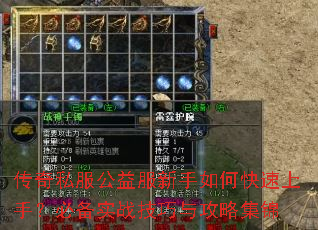 ����˽�������������ο������֣��ر�ʵս�����빥�Լ���