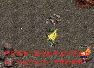 ����˽�������������ο������֣��ر�ʵս�����빥�Լ���