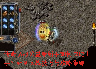 ����˽�������������ο������֣��ر�ʵս�����빥�Լ���