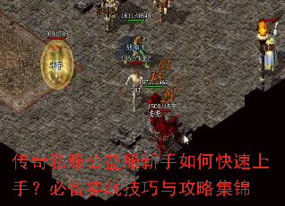 ����˽�������������ο������֣��ر�ʵս�����빥�Լ���