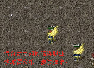 �����������ѡ��ְҵ��ɳ��ð�յ�һ����ѡ˭��