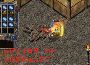 �����������գ���ο��ٻ�ȡ����������