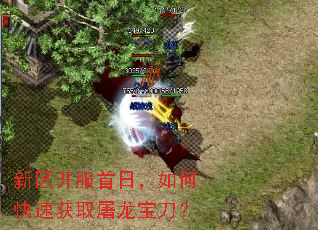 �����������գ���ο��ٻ�ȡ����������