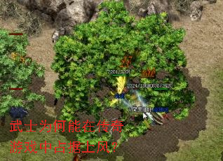 武士为何能在传奇游戏中占据上风? 武士为何能在传奇游戏中占据上风?