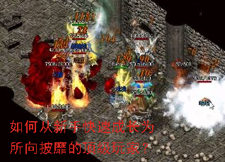 如何从新手快速成长为所向披靡的顶级玩家? 如何从新手快速成长为所向披靡的顶级玩家?