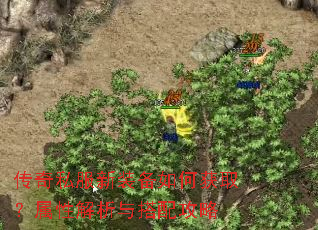 ����˽����װ����λ�ȡ�����Խ�������乥��