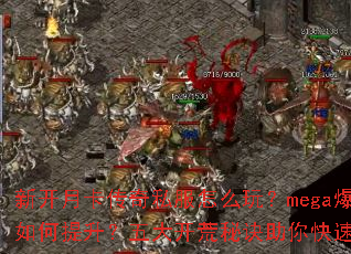 �¿��¿�����˽����ô�棿mega���������������󿪻��ؾ����������