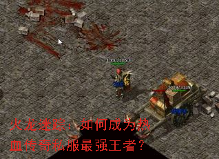 �������٣���γ�Ϊ��Ѫ����˽����ǿ���ߣ�