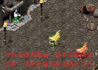 ����˽���޵а棺������ο��ٽ��ף�����ն����ʤ�ؼ��󹫿�