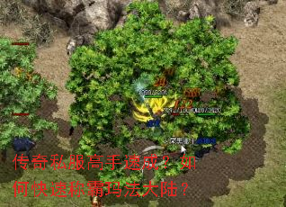 传奇私服高手速成?如何快速称霸玛法大陆? 传奇私服高手速成?如何快速称霸玛法大陆?