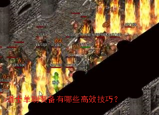 ��ʿ��ˢװ������Щ��Ч���ɣ�