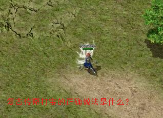 ���Ŵ���򱦵���ȷ������ʲô��