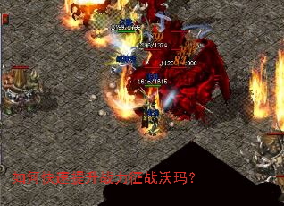 ��ο�������ս����ս���ꣿ