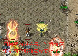 ��γ�Ϊ������ʦ�������ʿ�ư�ȫ�����ҹ��Խ���