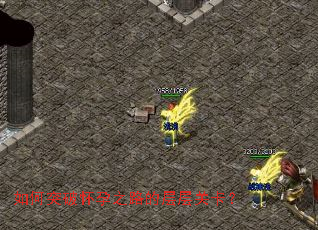 如何突破怀孕之路的层层关卡? 如何突破怀孕之路的层层关卡?