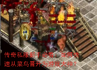 ����˽�����ֱؿ�����ο��ٴӲ������Ϊ��Ϸ����