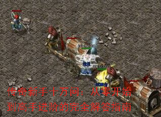 ��������ʮ���ʣ����㿪ʼ�����ֽ��׵���ȫ���ָ��