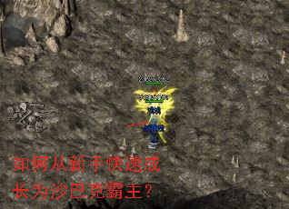 ��δ����ֿ��ٳɳ�Ϊɳ�Ϳ˰�����