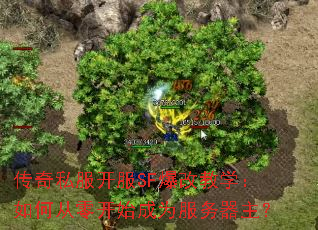 ����˽������SF���Ľ�ѧ����δ��㿪ʼ��Ϊ����������