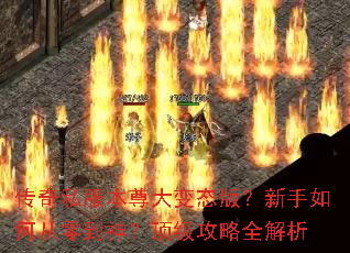 ����˽��������̬�棿������δ��㵽�񣿶�������ȫ����