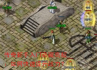 �����������űزظ��У���ο�������ս����