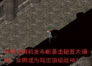 ������˾���������������Ŵ���أ���γ�Ϊ�귨����ս��