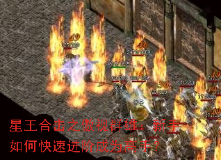 �����ϻ�֮����Ⱥ�ۣ�������ο��ٽ��׳�Ϊ���֣�