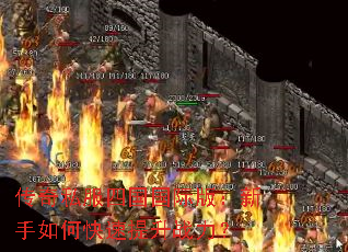 ����˽���Ĺ����ʰ棺������ο�������ս����