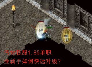 ����˽��1.85��ְҵ������ο���������