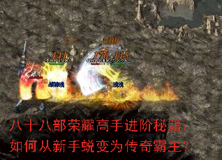 ��ʮ�˲���ҫ���ֽ����ؼ�����δ������ɱ�Ϊ���������