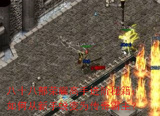 ��ʮ�˲���ҫ���ֽ����ؼ�����δ������ɱ�Ϊ���������