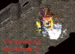 ��ο���������ɫ�ȼ����书��Ϊ��