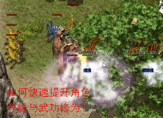 ��ο���������ɫ�ȼ����书��Ϊ��