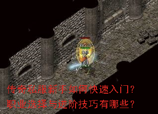 ����˽��������ο������ţ�ְҵѡ������׼�������Щ��