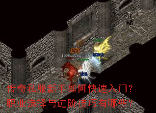 ����˽��������ο������ţ�ְҵѡ������׼�������Щ��