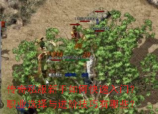 ����˽��������ο������ţ�ְҵѡ������׼�������Щ��