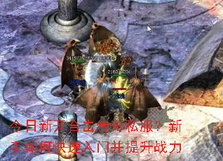 �����¿��ϻ�����˽����������ο������Ų�����ս��