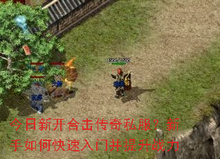 �����¿��ϻ�����˽����������ο������Ų�����ս��