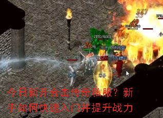 �����¿��ϻ�����˽����������ο������Ų�����ս��